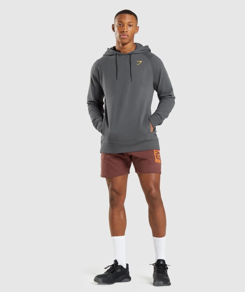 Szorty Gymshark Bold Męskie Brązowe | PL 385YKO